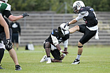 Football, GFL1, Saison 2017, Ingolstadt Dukes - Schwäbisch Hall Unicorns, 12.08.2017 