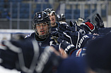 DNL - Eishockey - Playoffs - Saison 2022/2023  - ERC Ingolstadt - Kölner Haie - Foto: Ralf Lüger