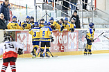 Eishockey, U12, Landesliga Gruppe 3, Saison 2017/2018, EC Pfaffenhofen - EHF Passau

