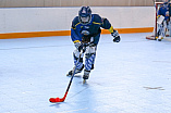 Skaterhockey, Sch